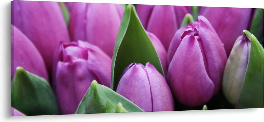 Kép - tulipánok (120x50 cm)