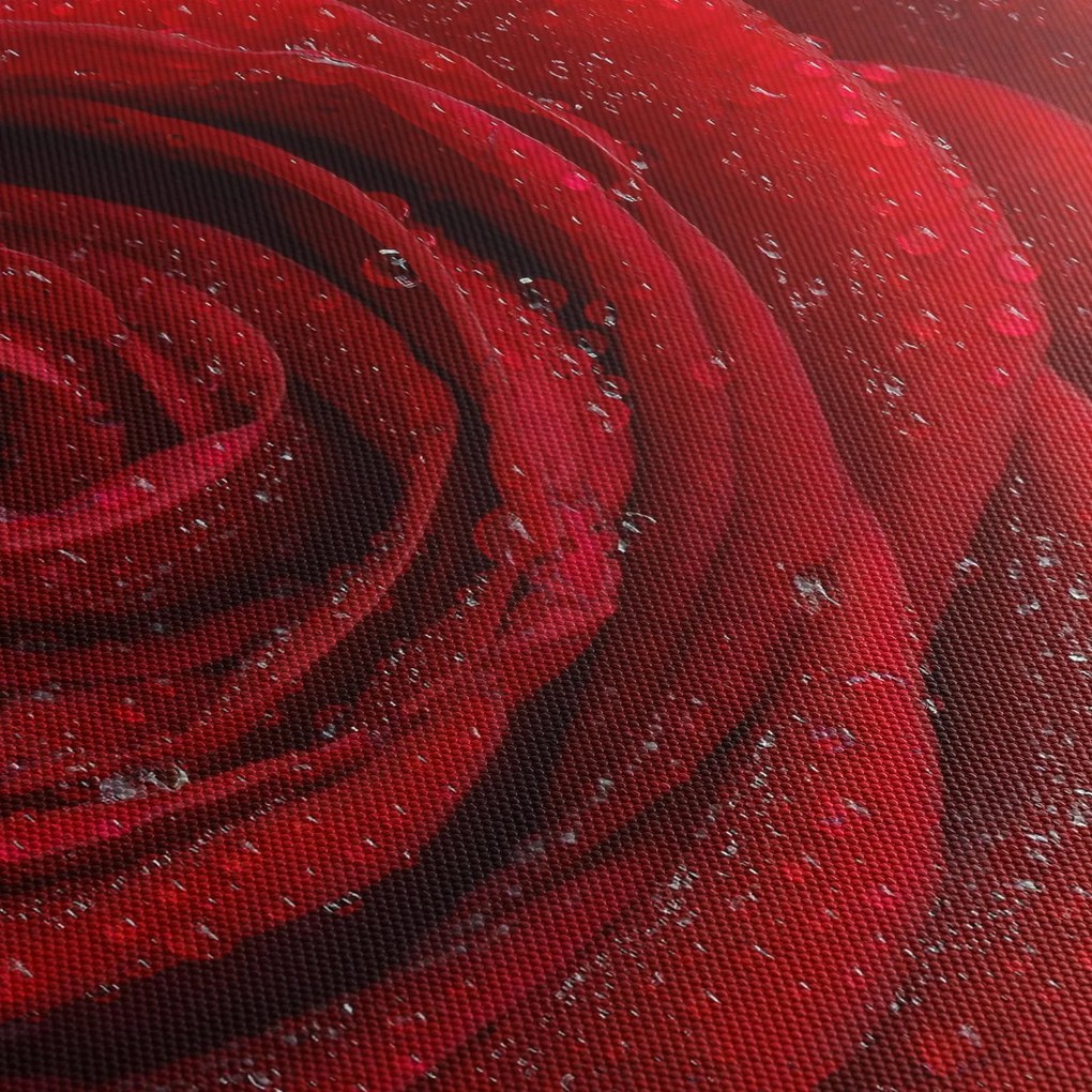 Kép - részlet a rózsáról (órával) (90x30 cm)