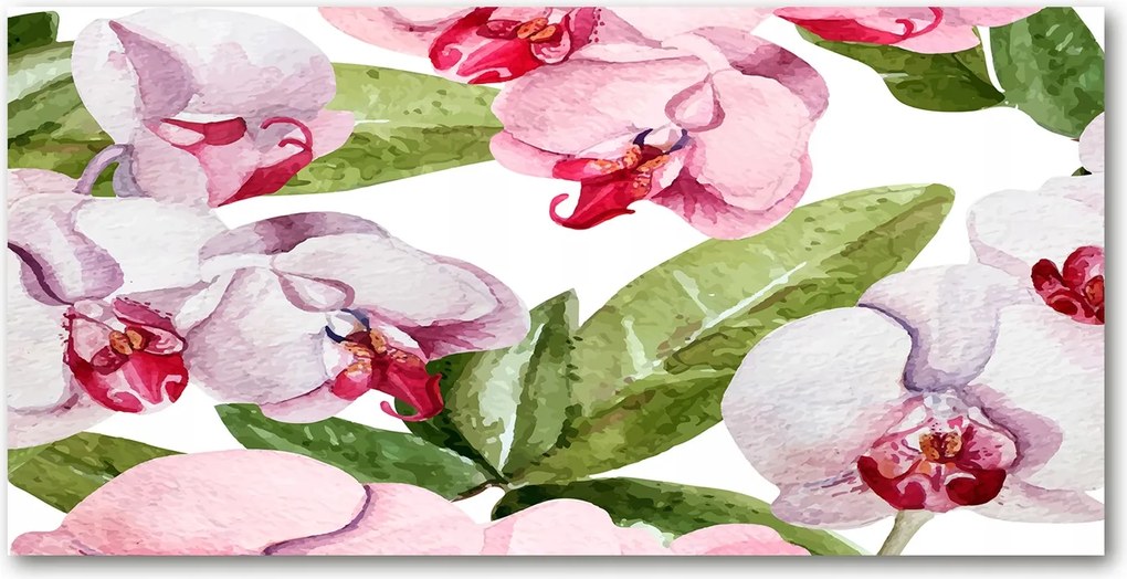 Fotótapéta üvegfalra Rózsaszín orchideák 140x70
