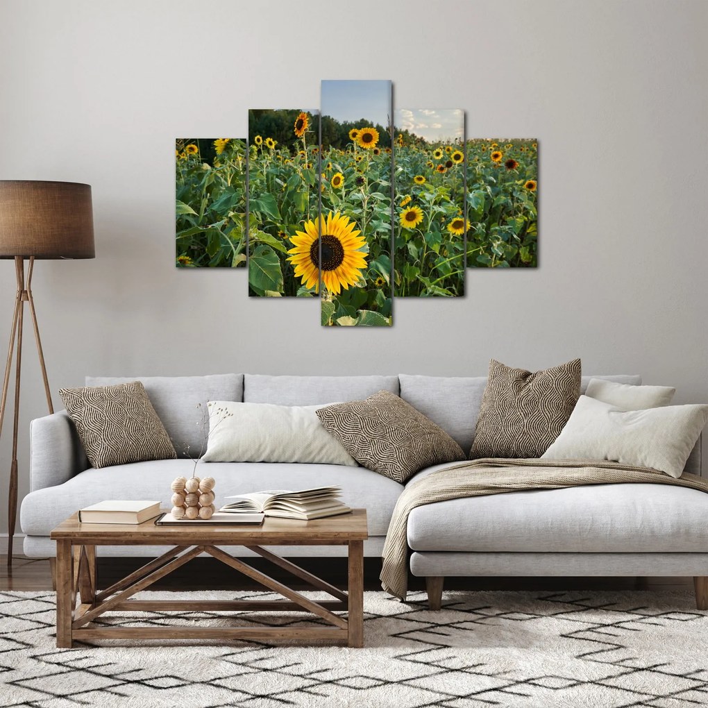 Kép - Napraforgómező II. (150x105 cm)