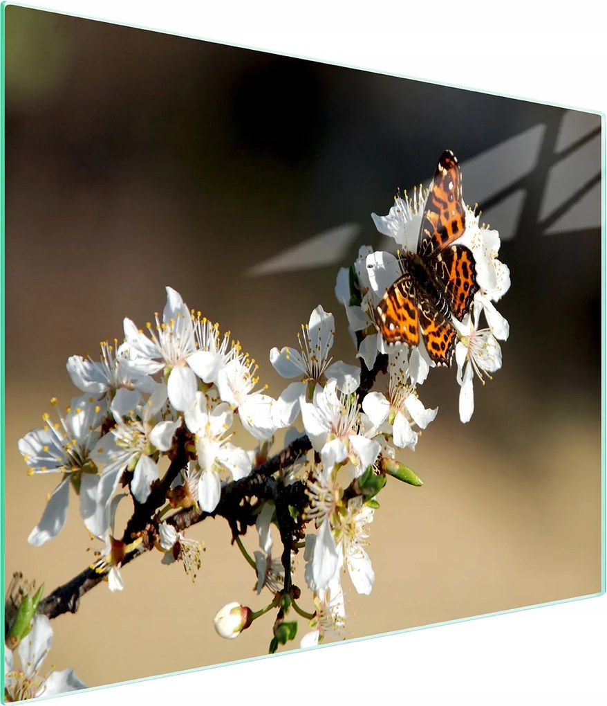 Üveg Vágódeszka 52x30 Szilva Edzett Üveg