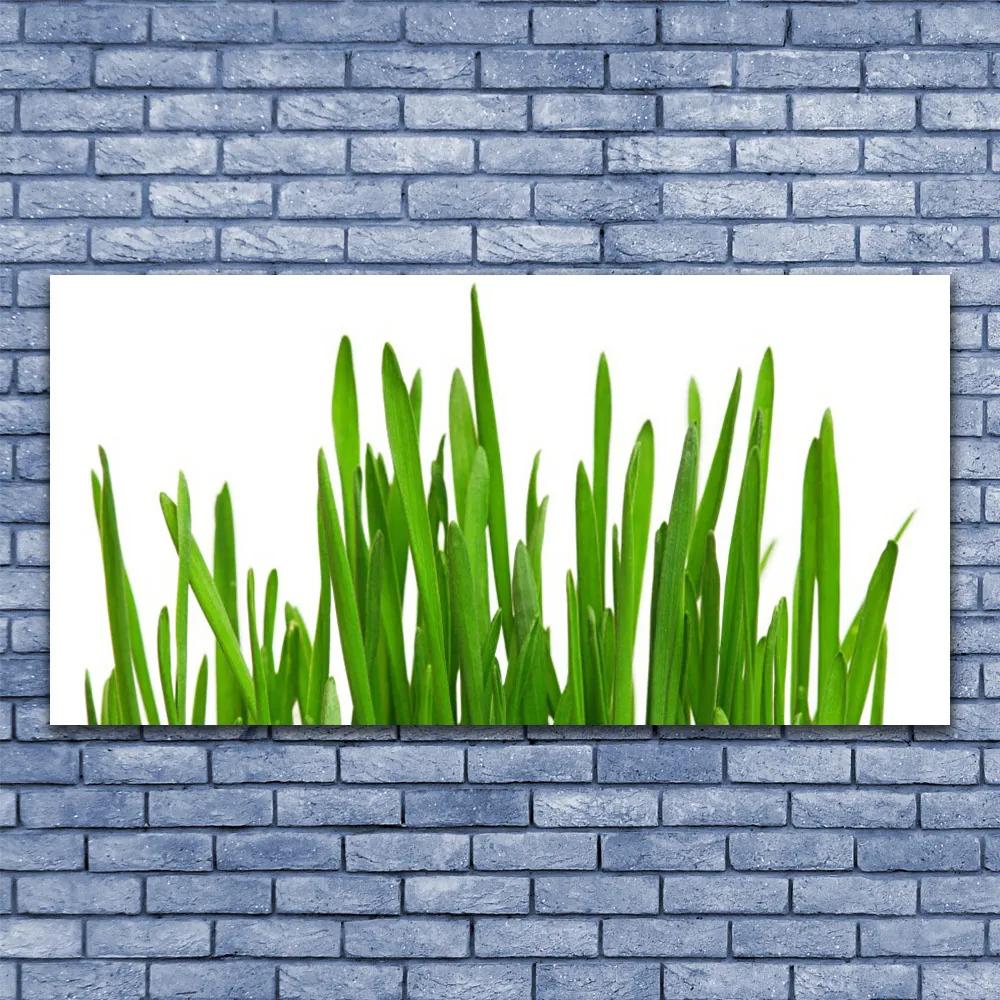 Üvegkép Grass A Wall 100x50 cm