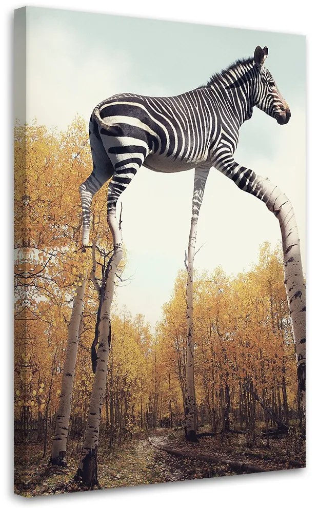 Gario Vászonkép Zebra és nyírfa lábak - Patryk Andrzejewski Méret: 70 x 100 cm