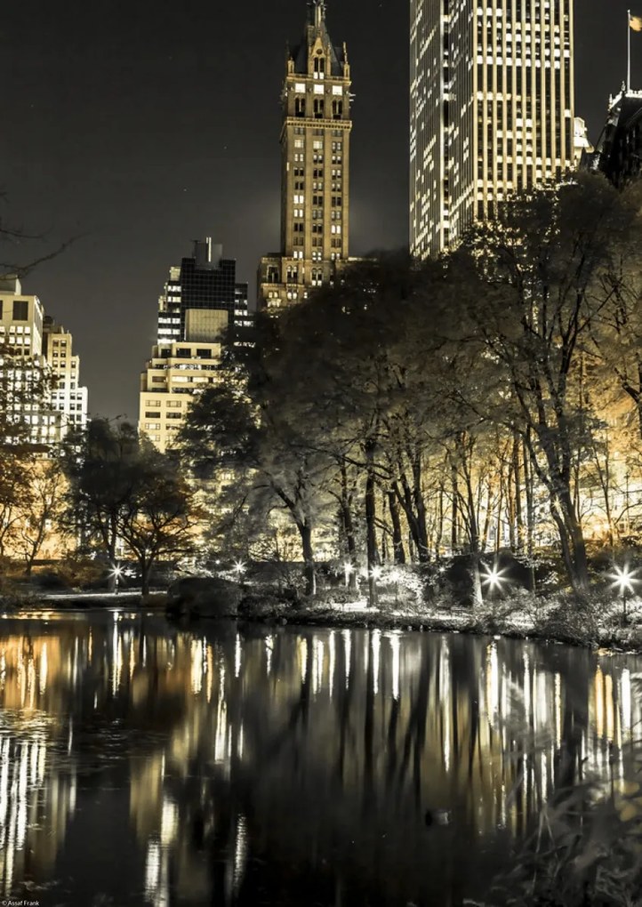 Poszter 29,7x42cm Esti kilátás a New York-i Central Parkra 9, Assaf Fra