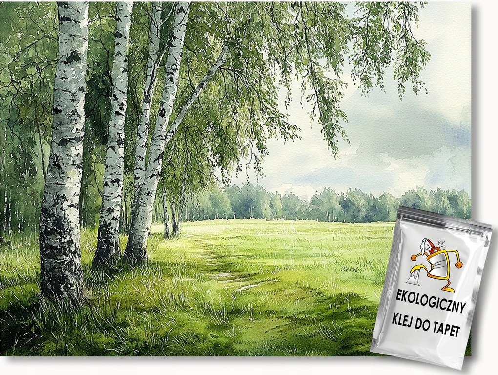 Fotótapéta Flizelina Tájkép Kilátás Erdő Fák Nyírfa Rét 350x250 ragasztó