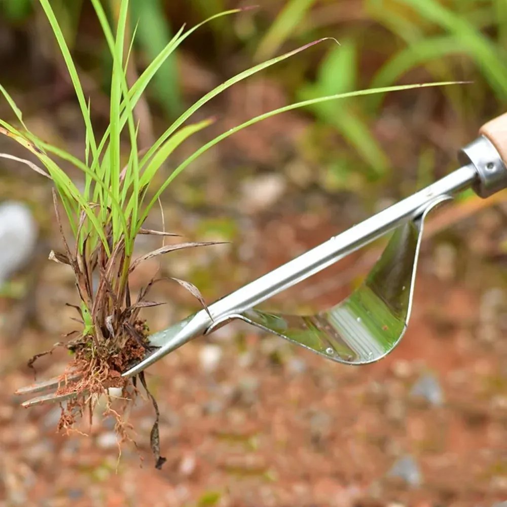 Zaparkorun Gyomkiszedő
