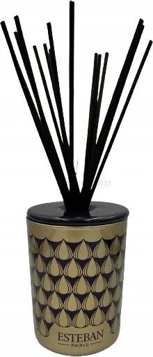 Dekoratív üres illatdiffúzor kancsó páckákkal Esteban Paris 100ml