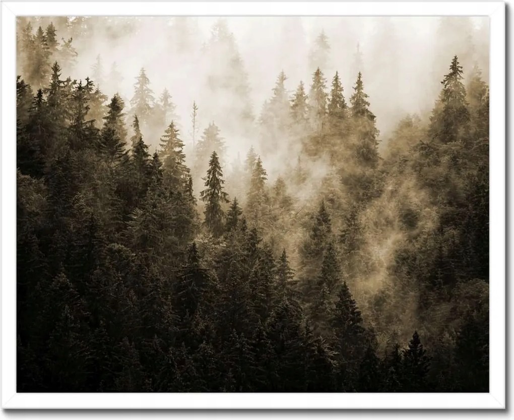 Poszter fehér keretben 50x40 Tájkép Szépia Hegyek Köd