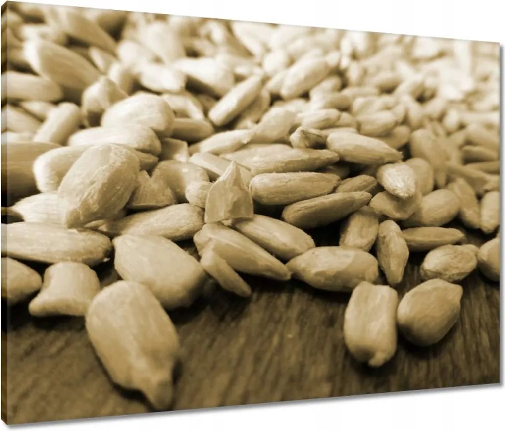 Vászonkép 80x60 Hántolt napraforgó