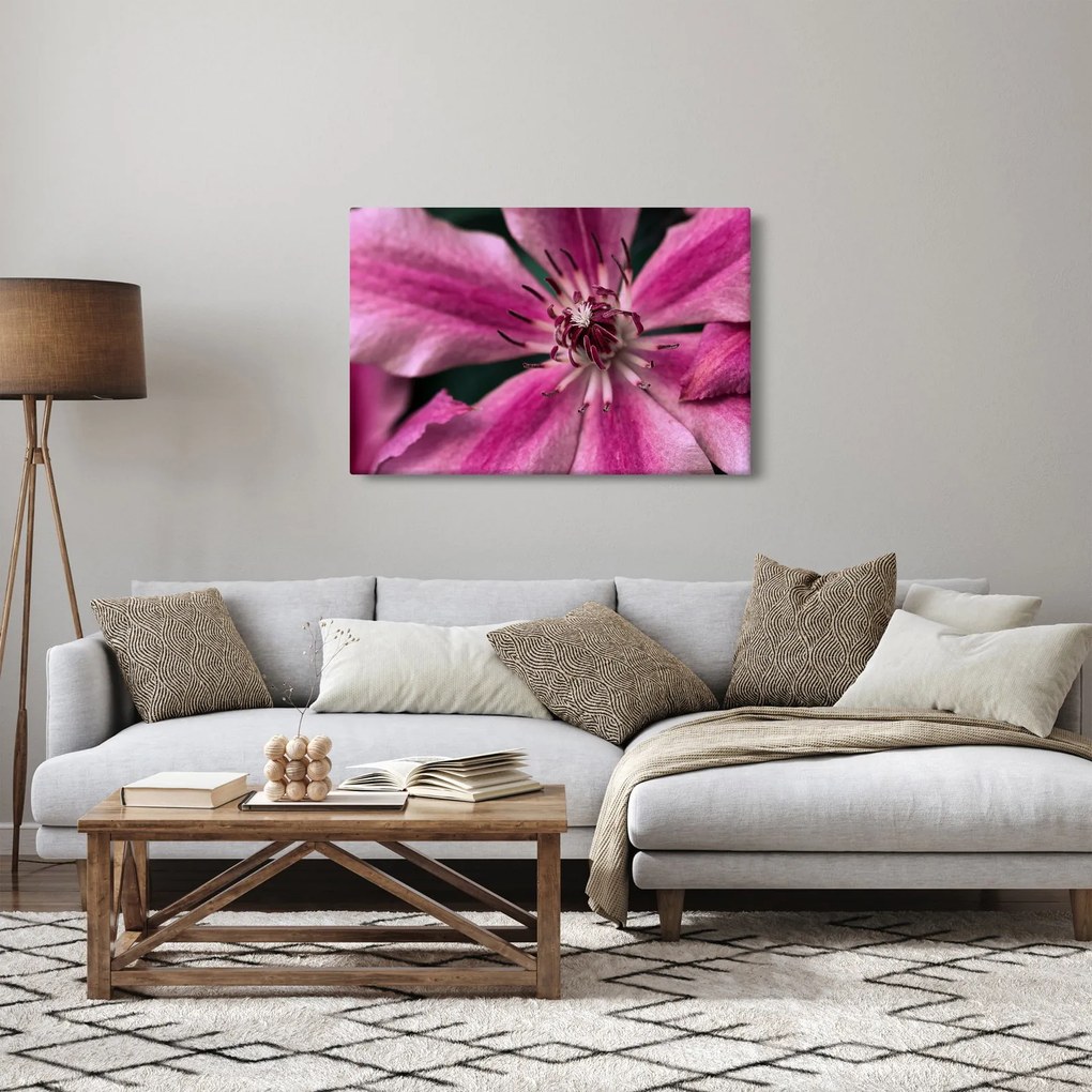 Rózsaszín flamingóvirág képe (90x60 cm)