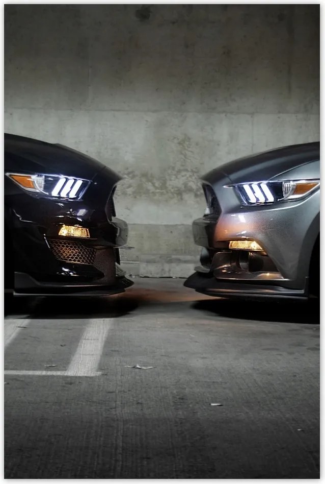 Poszterek 40x60 Face to face Mustang