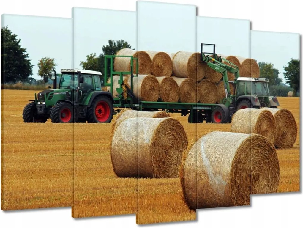 Vászonkép 70x50 Aratás Szalma Bálna Traktorok
