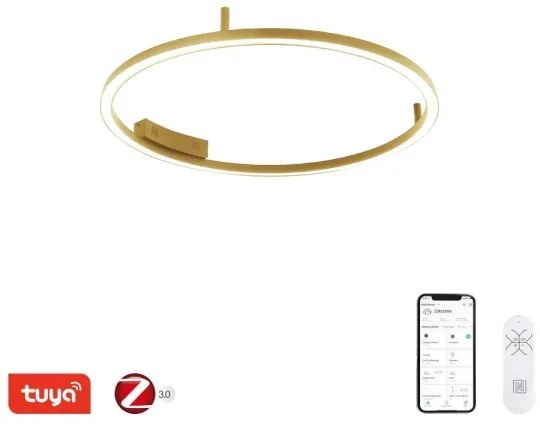 Immax NEO 07291-80G - LED+CCT dimmelhető mennyezeti lámpa FINO 55W/230V Tuya átm. 80 cm+távirányító