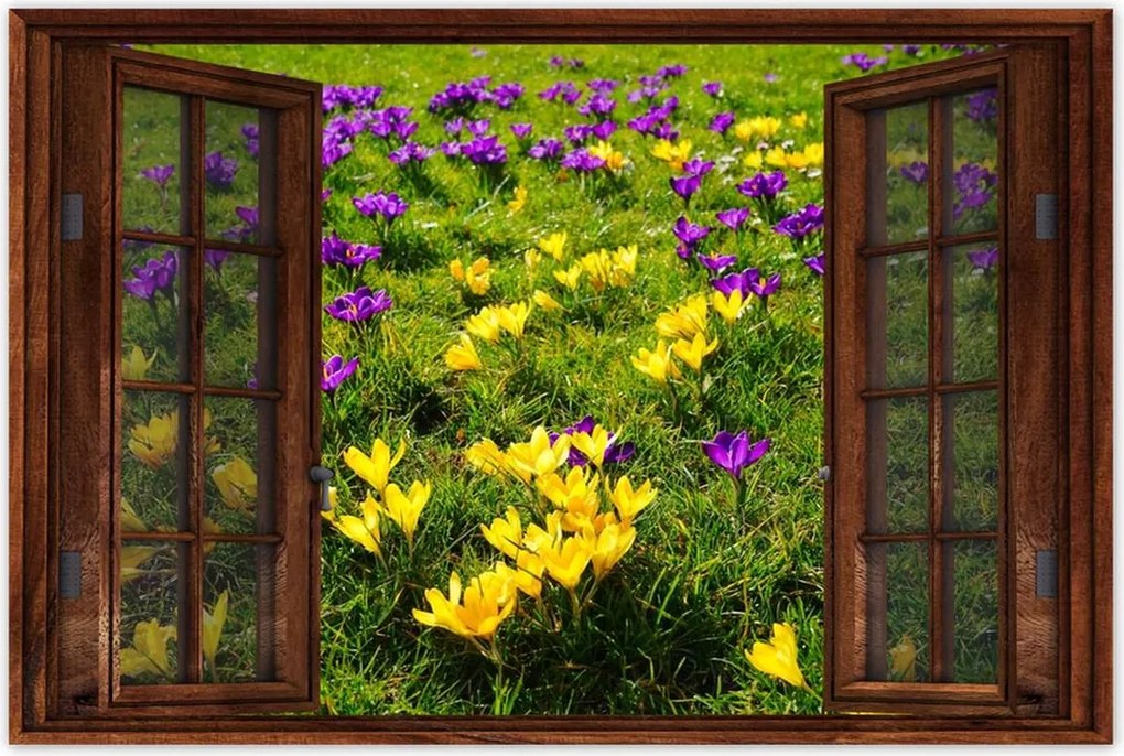 Poszterek 60x40 Krokodilok a réten