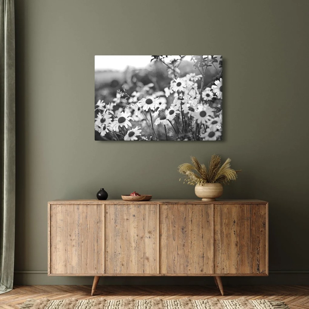 Kép - Százszorszépek (90x60 cm)