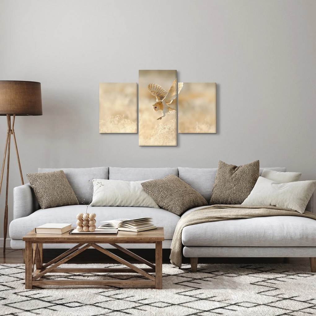 Kép - Bagoly (90x60 cm)