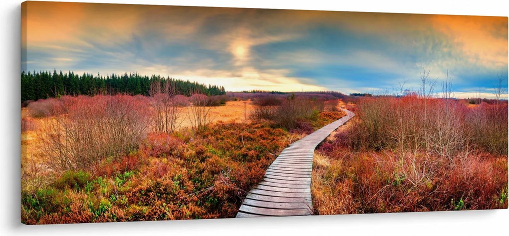 Kép - Őszi út (120x50 cm)