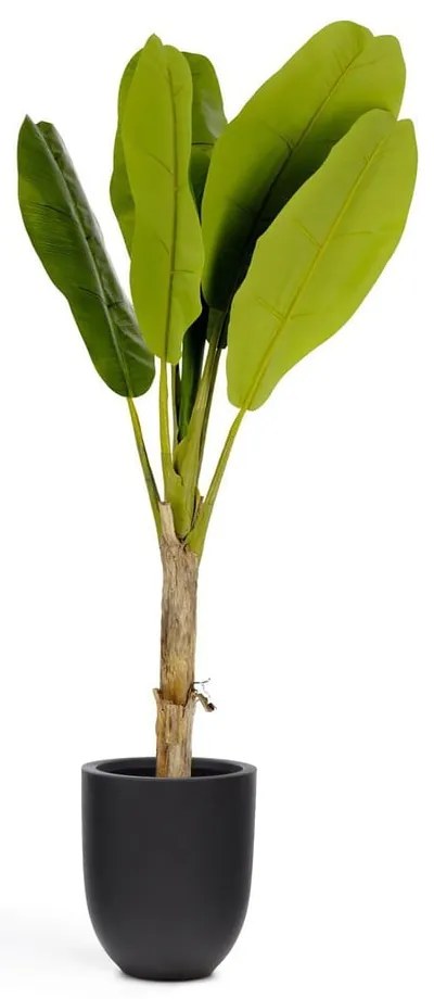 Pálma műnövény (magasság 160 cm) Baa – Kave Home