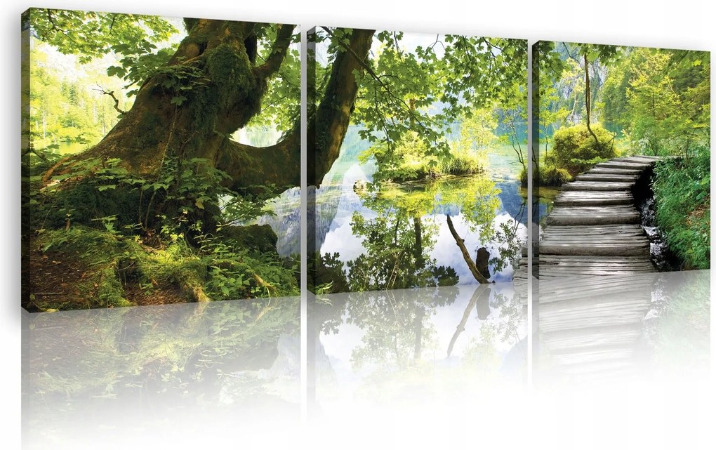 Vászonkép 75x25 Természet erdő tó folyó tó fák zöld víz tükröződés nyugalom