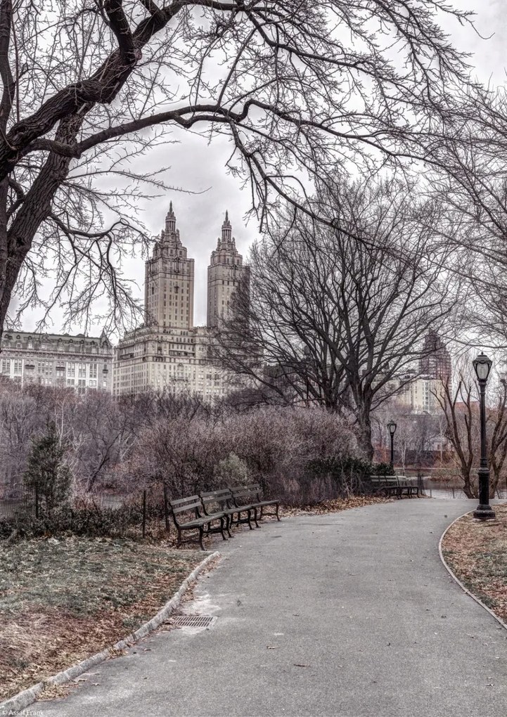 Poszter 21x29,7cm Ösvény a központi parkon át 2, Assaf Frank