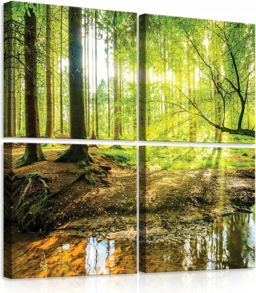 Vászonkép 50x50 Erdő folyó patak nap természet zöld víz tükröződés nyugalom