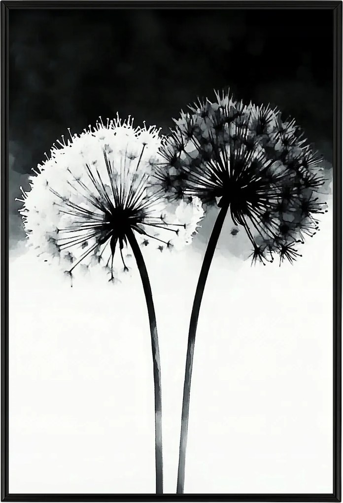 Poszter Keret Alumínium Grafika Modern Virágok Pitypang Fekete Fehér 40x60