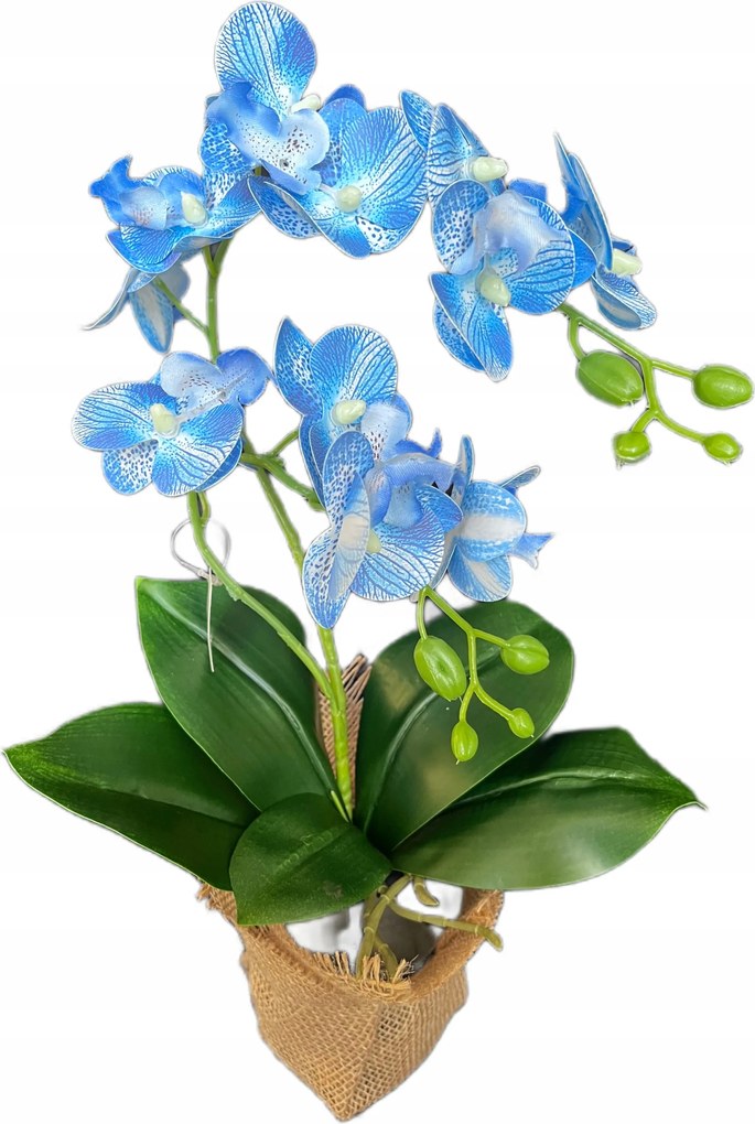 Orchidea cserépben Kék művirág Nőnapi Ajándék