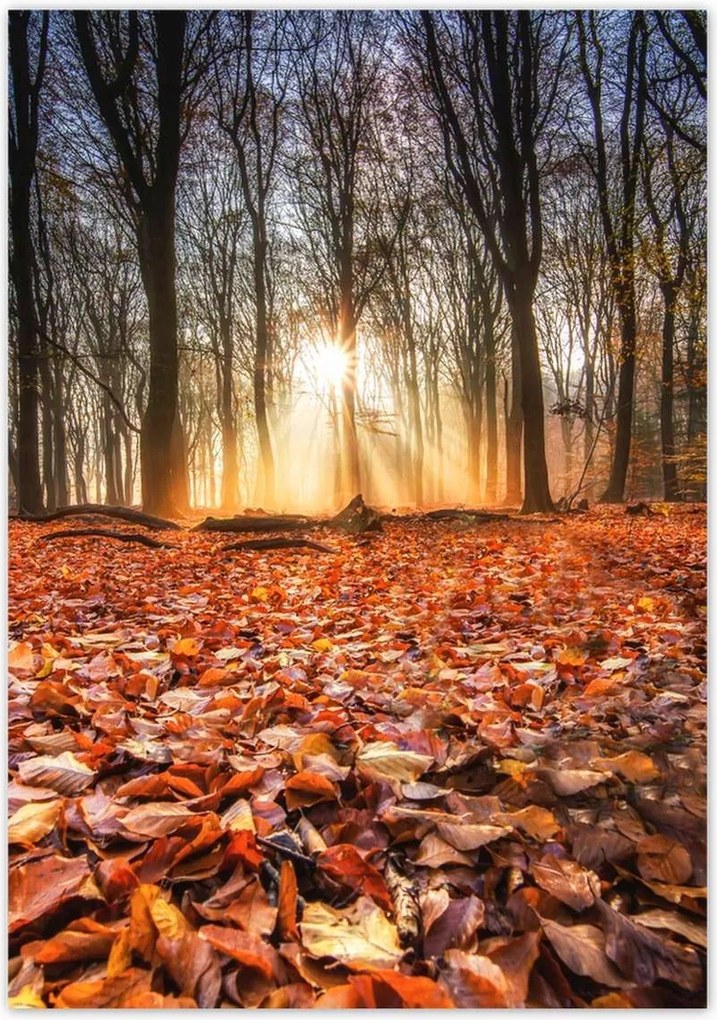 Poszterek 70x100 Őszi kilátás Tájkép