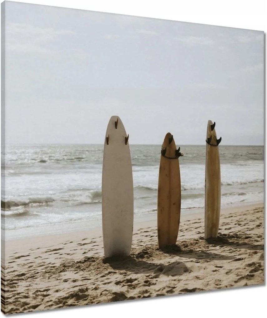 Vászonkép 60x60 Szörfdeszkák bézs