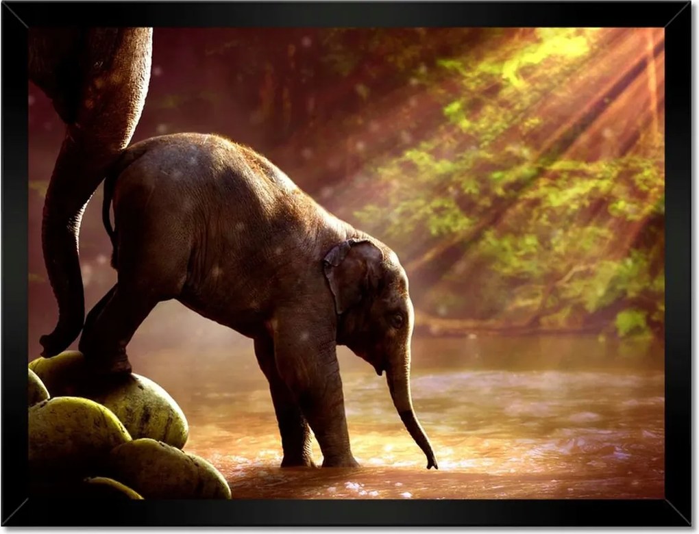 Poszterek keretben 40x30 Anya csak egy van