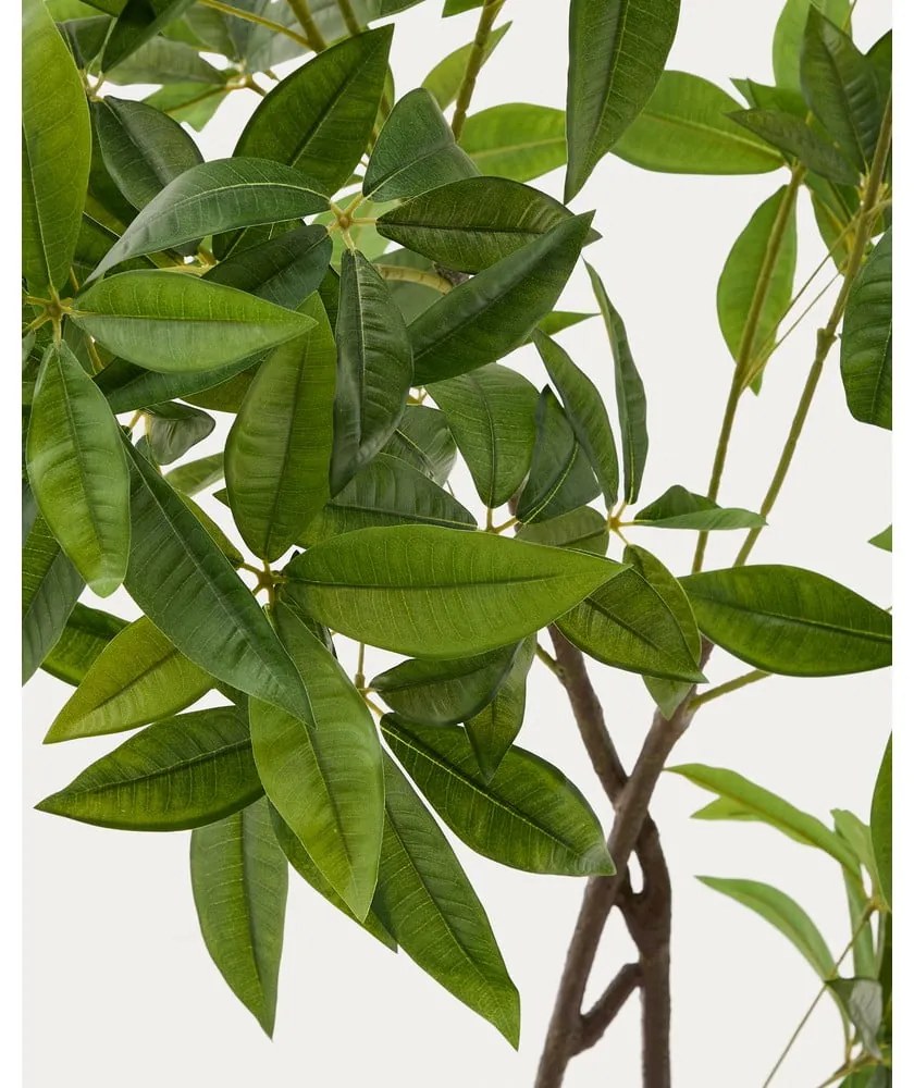 Műnövény (magasság 180 cm) Pachira – Kave Home