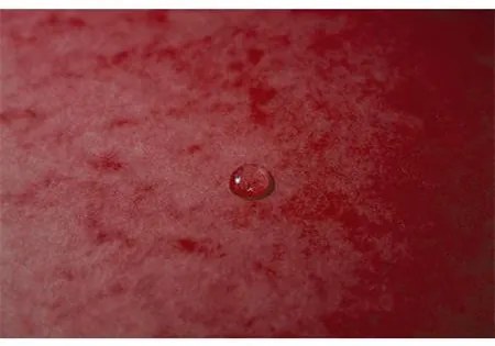 Gumis mappa, karton, A4, 40 mm, EXACOMPTA, piros (EX50405E)