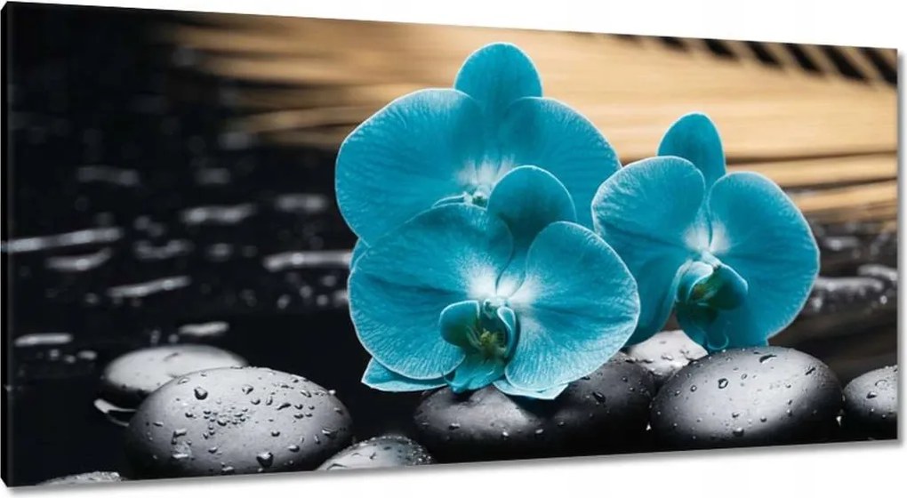 Vászonkép 115x55 Türkiz orchidea Virág