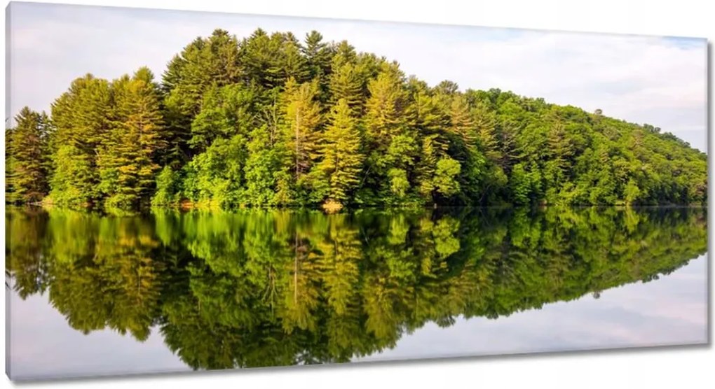 Vászonkép 115x55 Erdő Tó Felhők