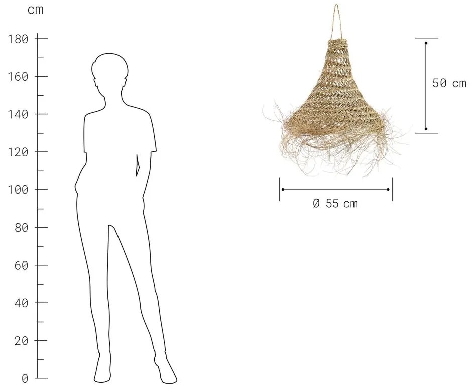 BOMAS eszpartófű lámpabúra 50cm