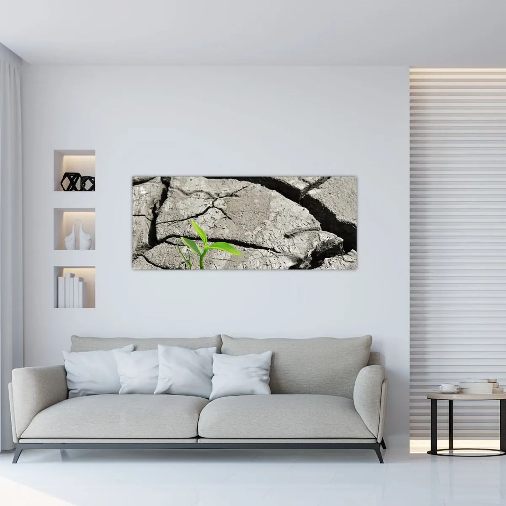 Kép - Repedések (120x50 cm)