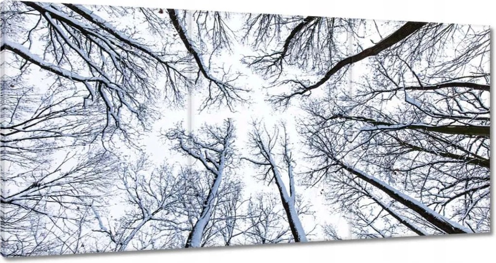 Festmények 120x60 Fa Fák Kilátás