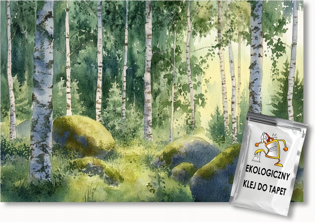 Fotótapéta Flizelina Tájkép Erdő Nyírfák Kövek Moha 350x250 ragasztó