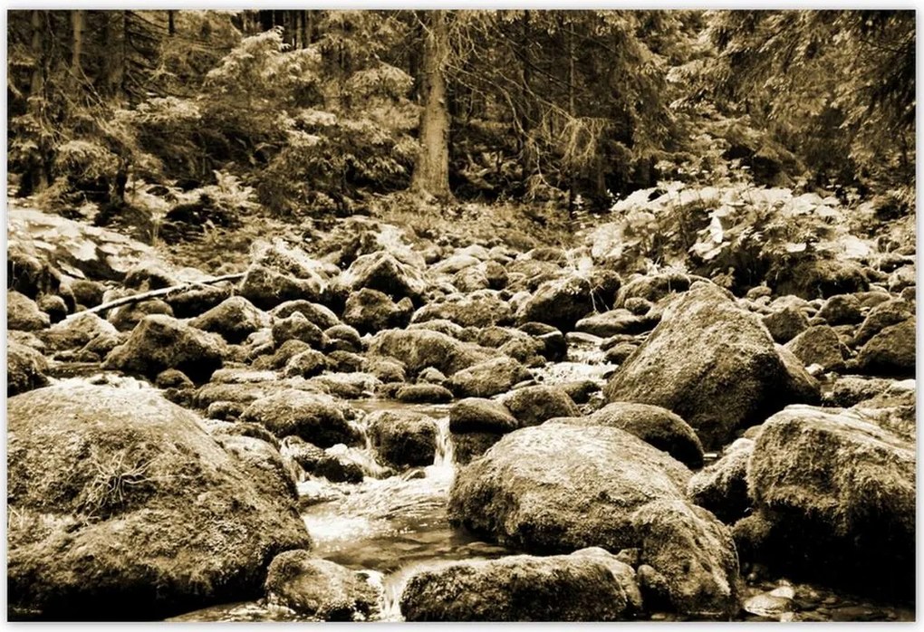 Poszterek 155x105 Tátra Lengyel hegyek Kilátás