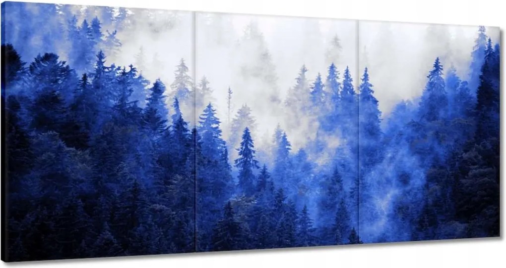 Vászonkép 120x60 Kék táj Hegyek