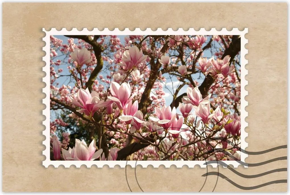 Poszterek 90x60 Magnólia Virágok Kék