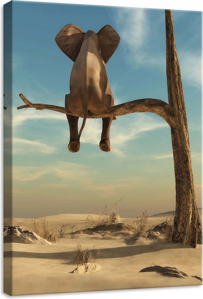 Vászonkép 50x70 Elefánt a fán szürrealizmus sivatag magány fantázia álom