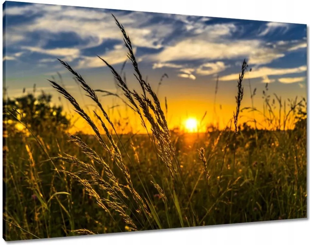 Vászonkép 100x70 Naplemente a füvek között