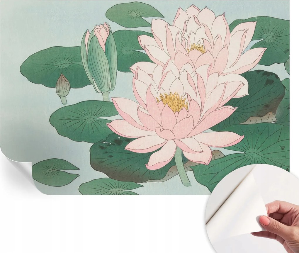 Öntapadós Dekoratív Fotótapéta Hálószobába Vízi lótusz 104x70 cm
