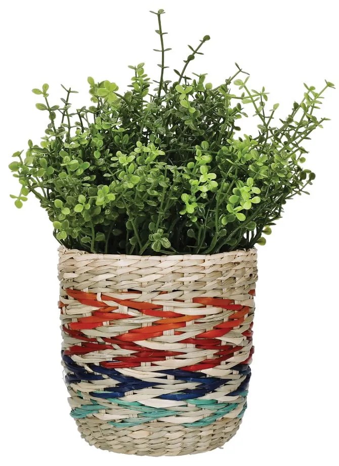 Színes tengerifű kaspó - Kitchen Craft