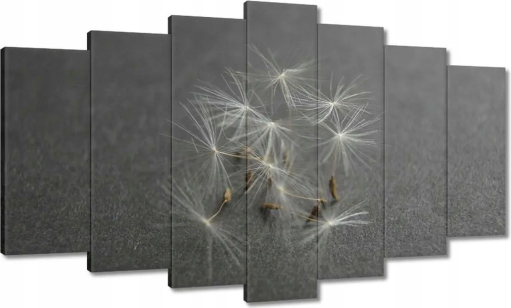 Vászonkép 140x80 Pitypang Virág Virágok