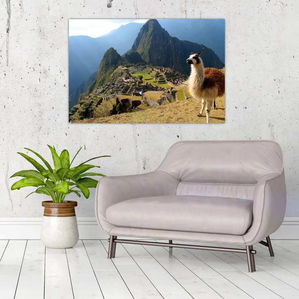 Kép - Láma és Machu Picchu (90x60 cm)