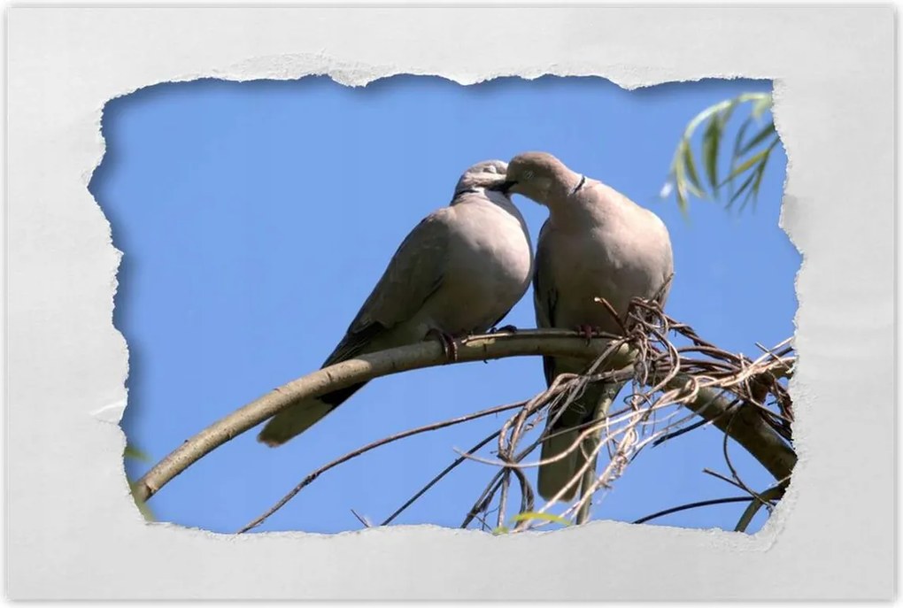 Poszterek 60x40 Szerelem Érzés Párkapcsolat