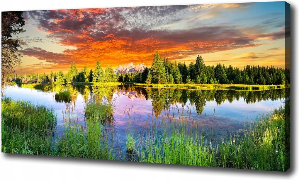 Vászonkép Folyó az erdőben 100x70 cm