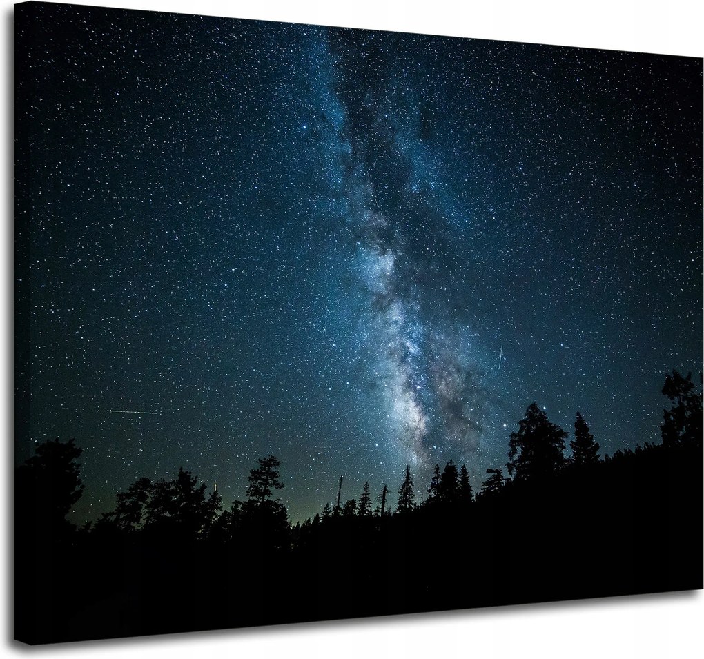 Vászonkép Kozmosz Éjszaka Erdő Köd Természet Csillagászat 100x80